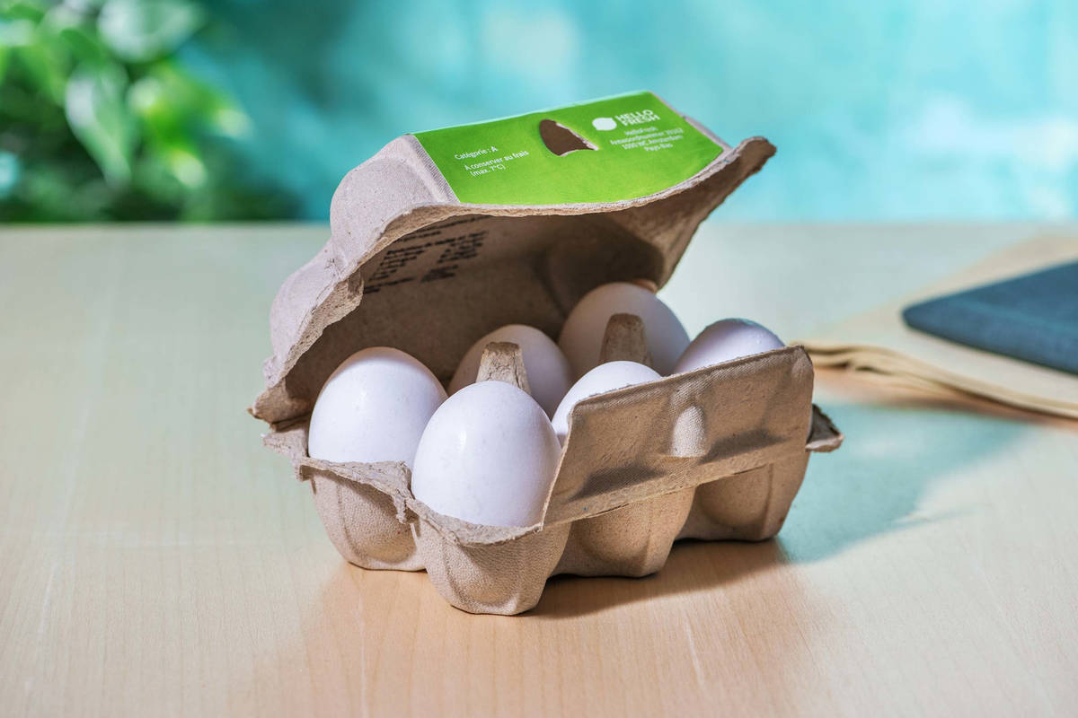 Œufs (6 pc.)
