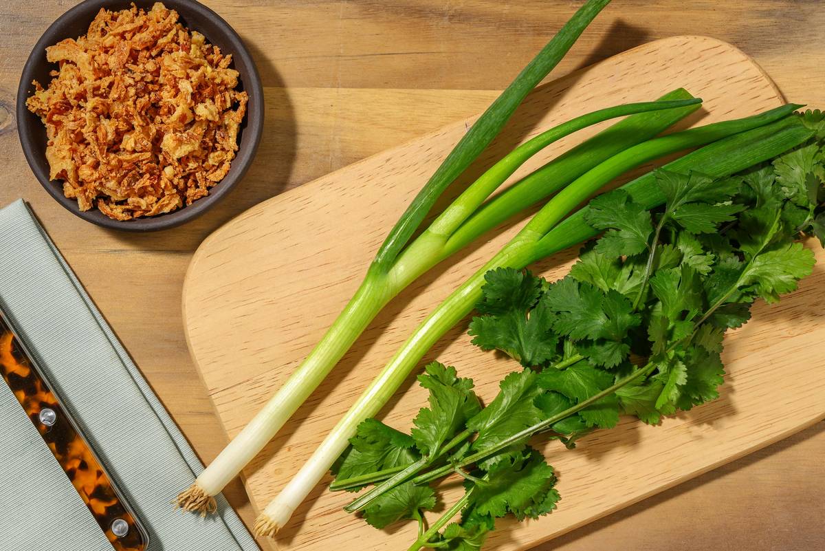 Spring Onion, Crispy Shallots & Coriander