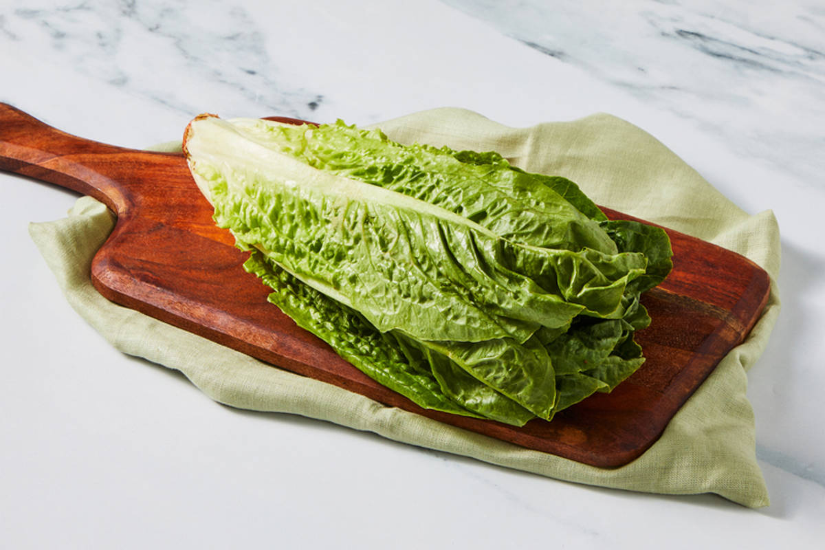 Romaine Lettuce