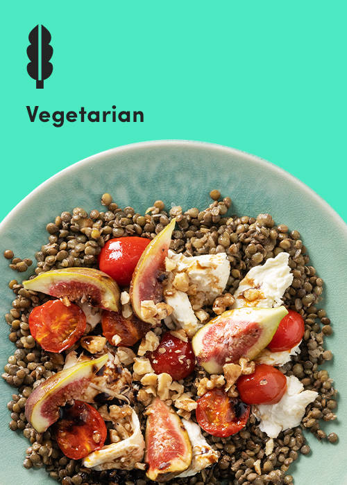 <h2>Vegetarian Meal Plan</h2>