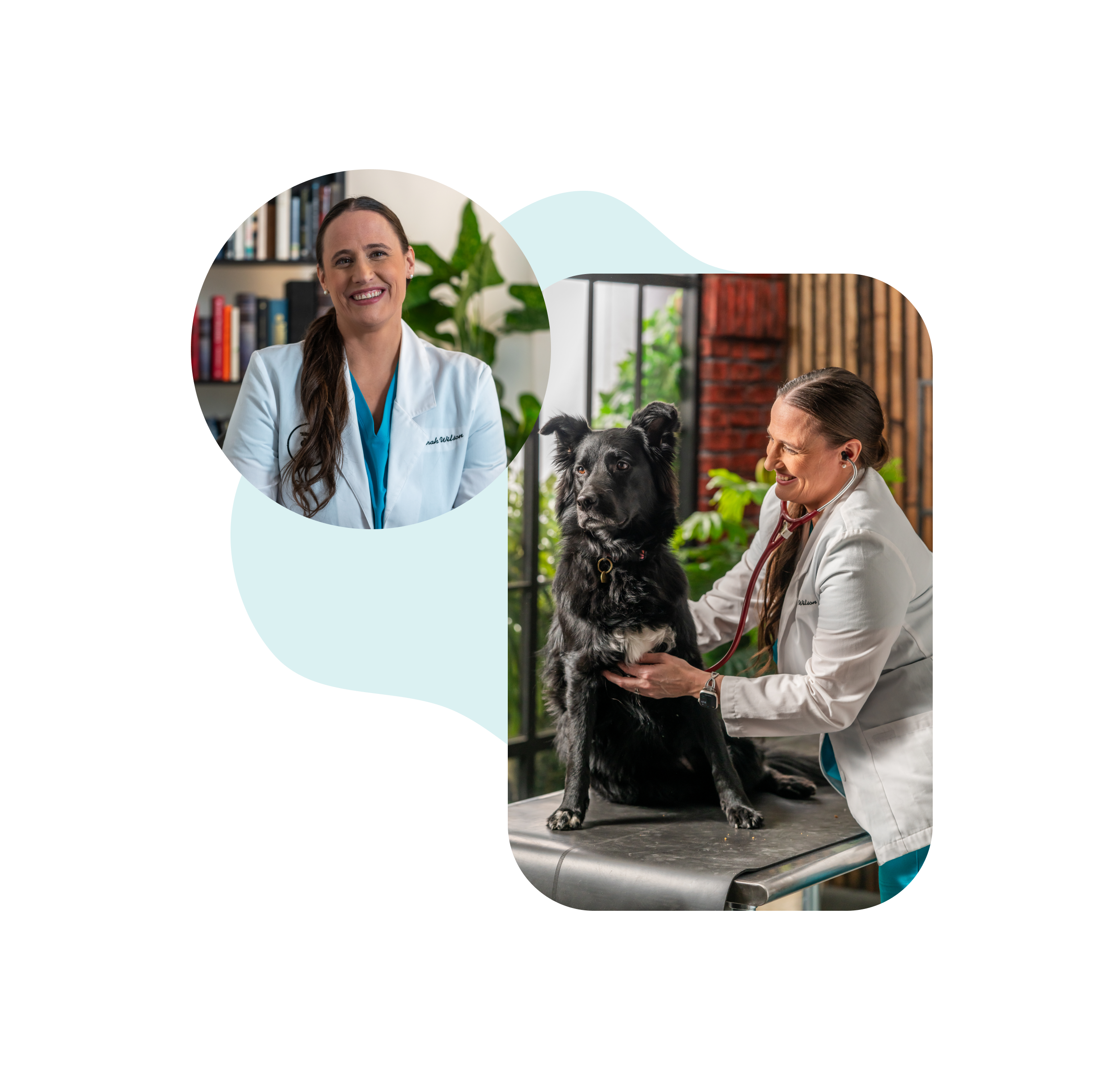 Meet Sarah, our Board Certified Vet Nutritionist®