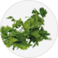 Parsley
