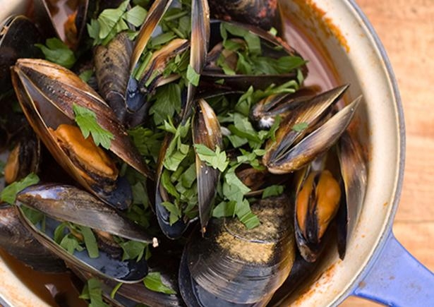 Moroccan Mussels