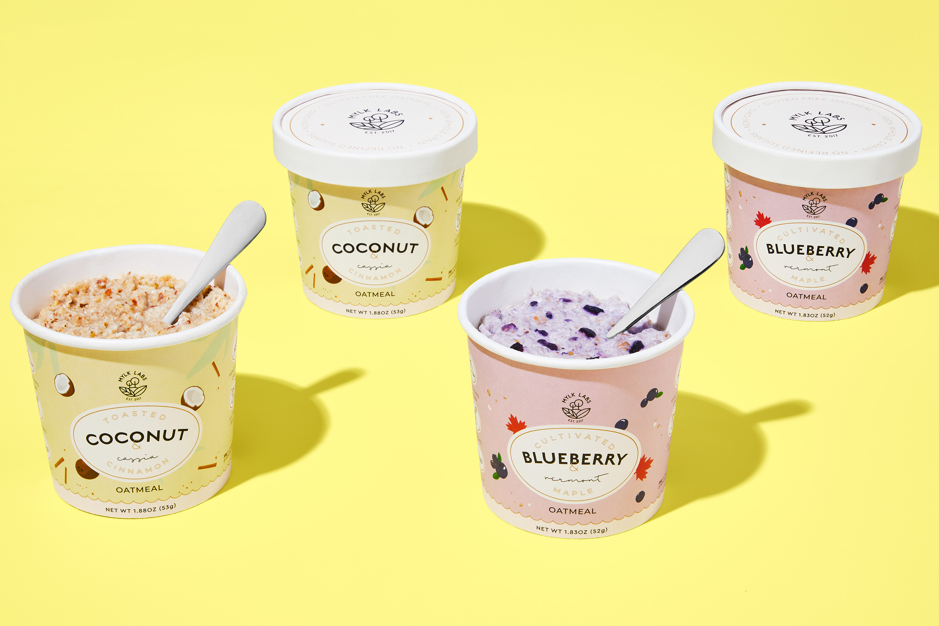 Mylk Labs Blueberry & Coconut Oatmeal Bundle