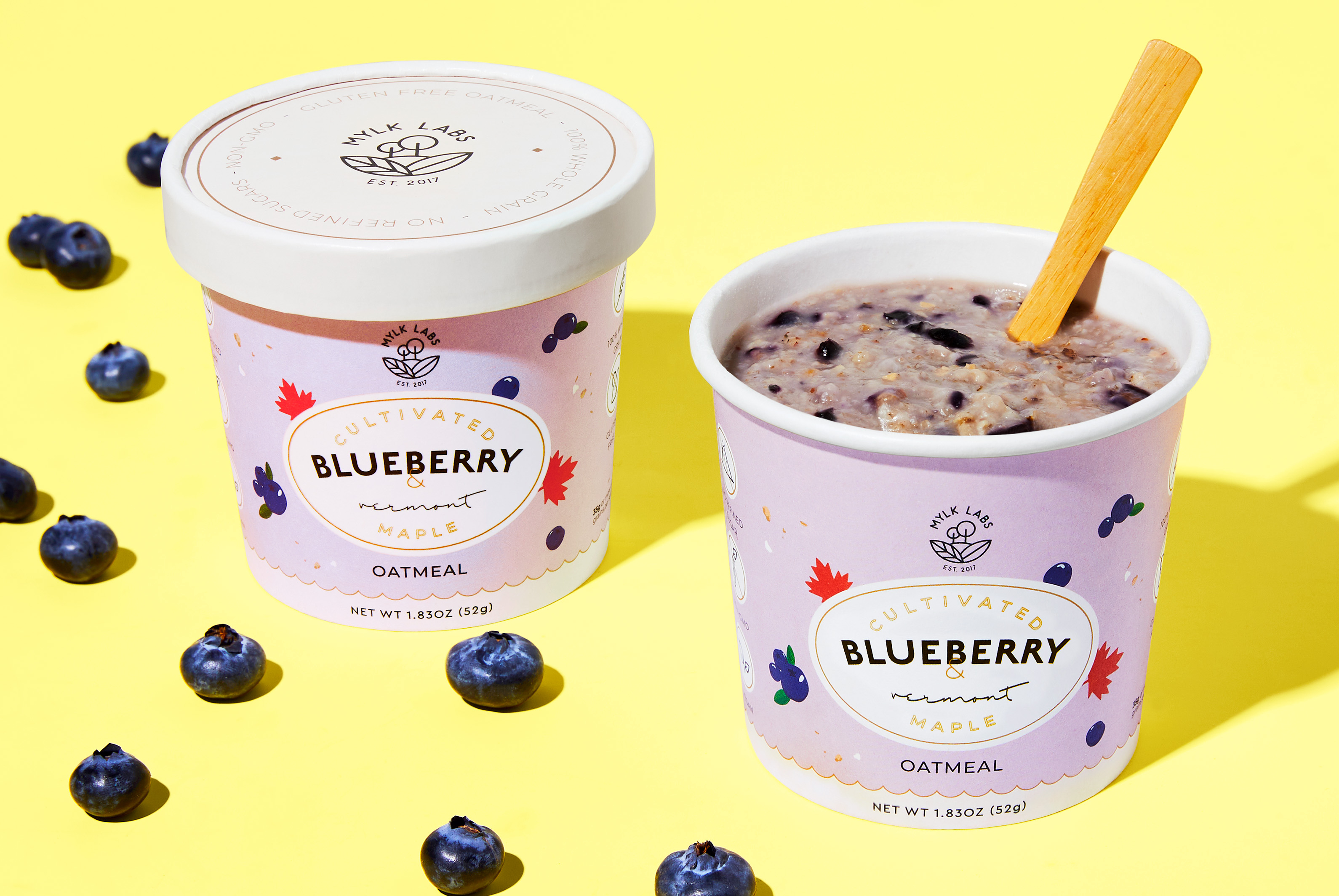Mylk Labs Blueberry Oatmeal