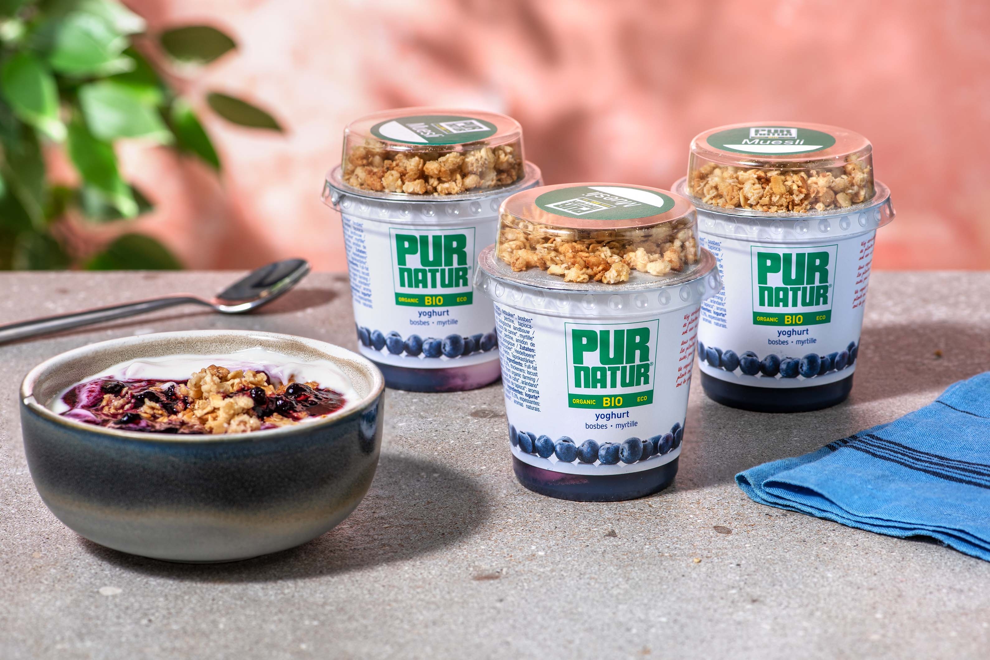 Pur Natur - Yoghurt bosbes muesli
