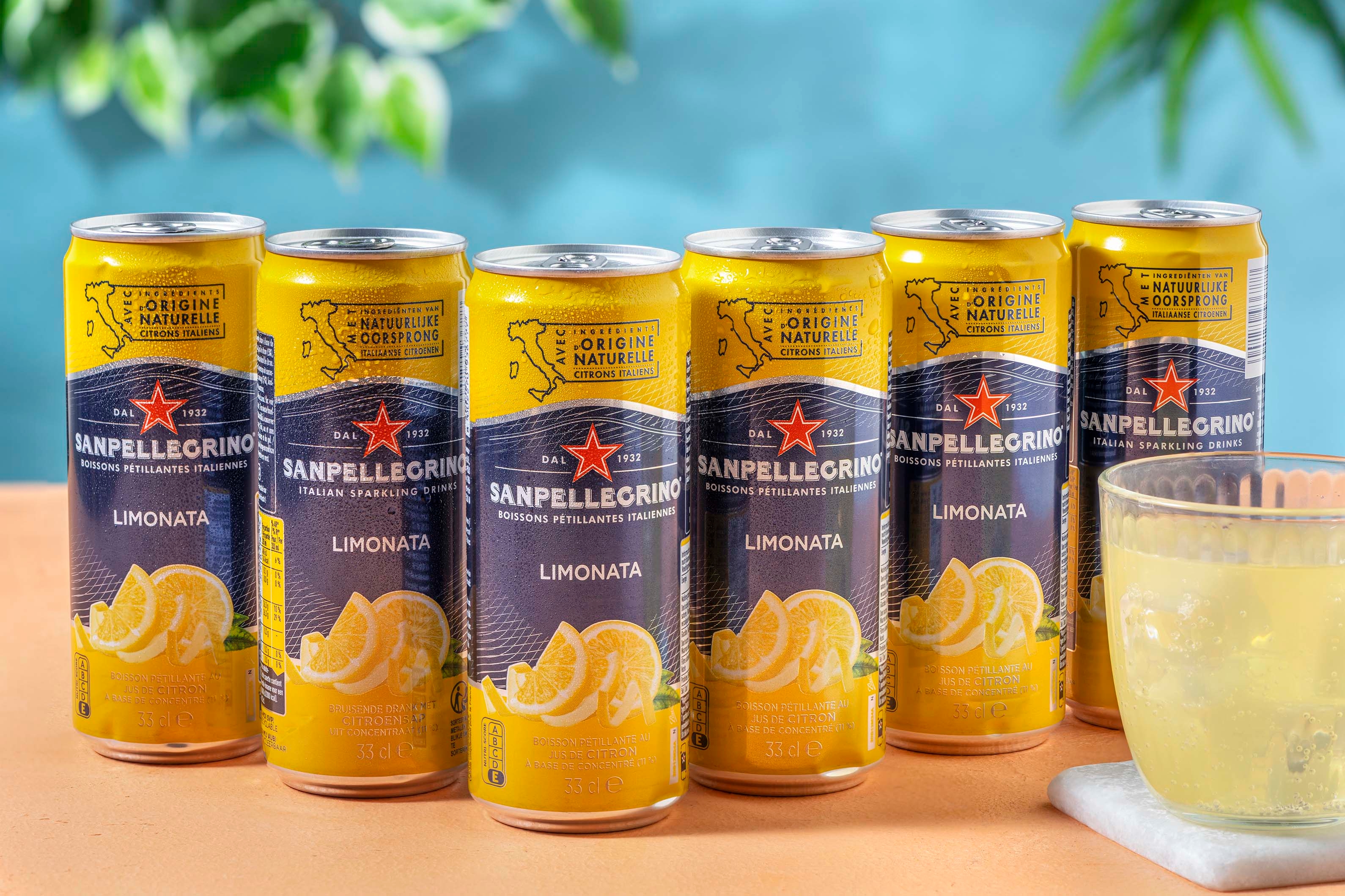 San Pellegrino Classic Sparkling Drink Limonata FR/NL (6x330ml)