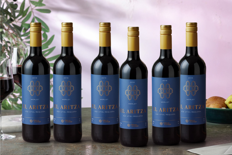 Cruz del Castillo El Aritza Merlot - Spanje