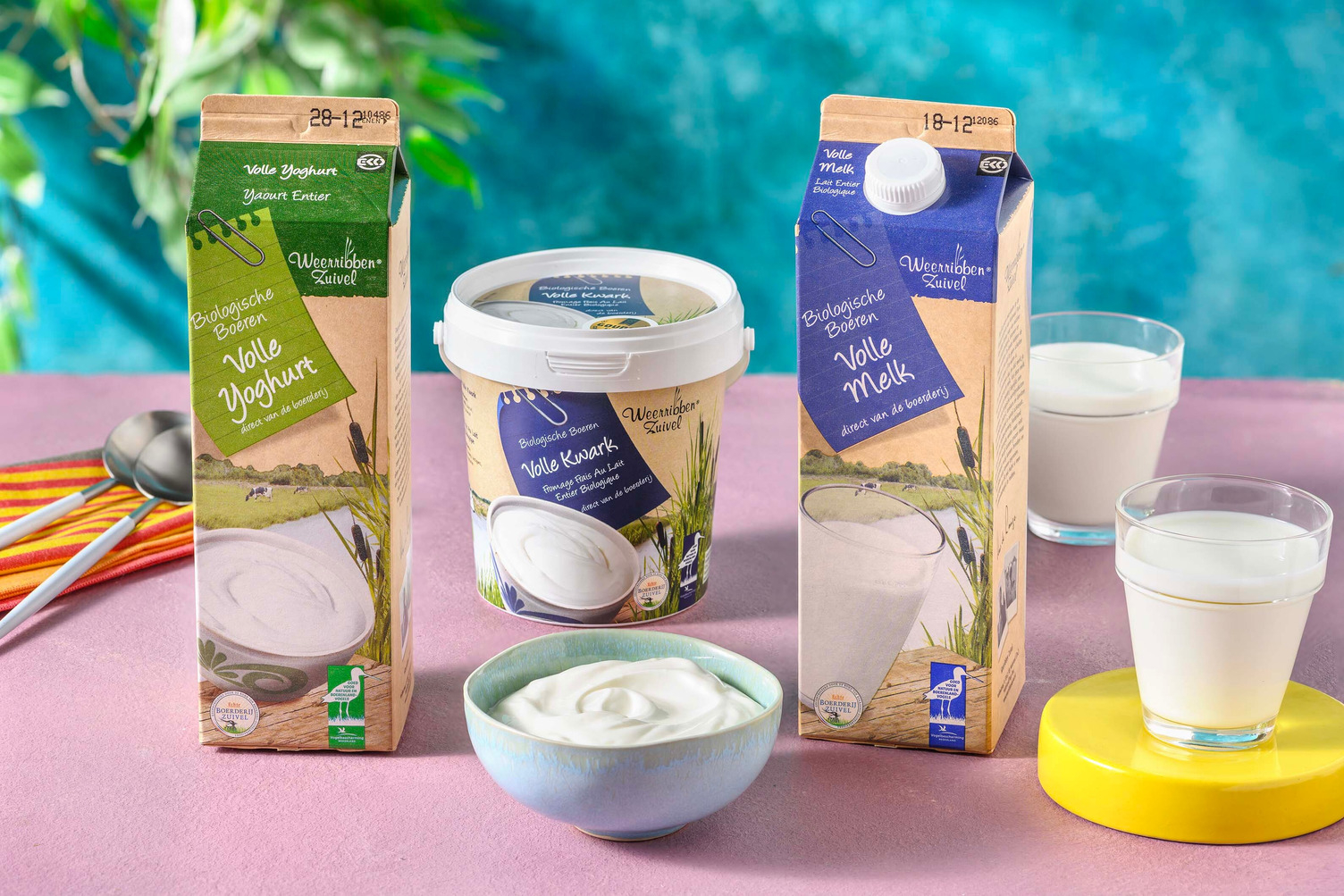 Le plein de produits laitiers