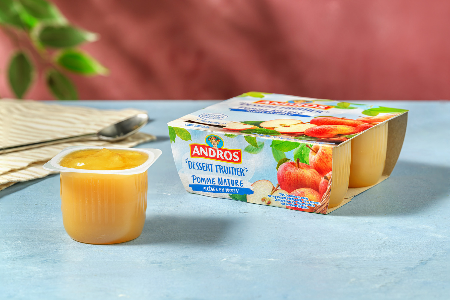 Desserts Fruitiers Pomme - Allégés en sucres