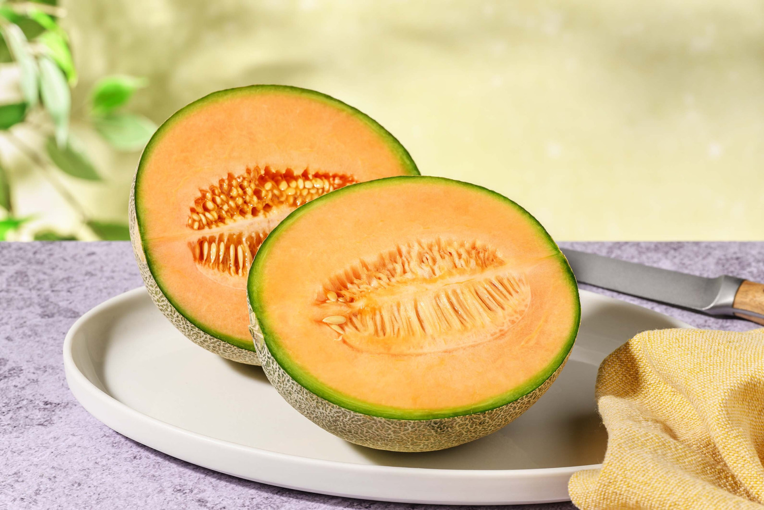 Cantaloupemeloen