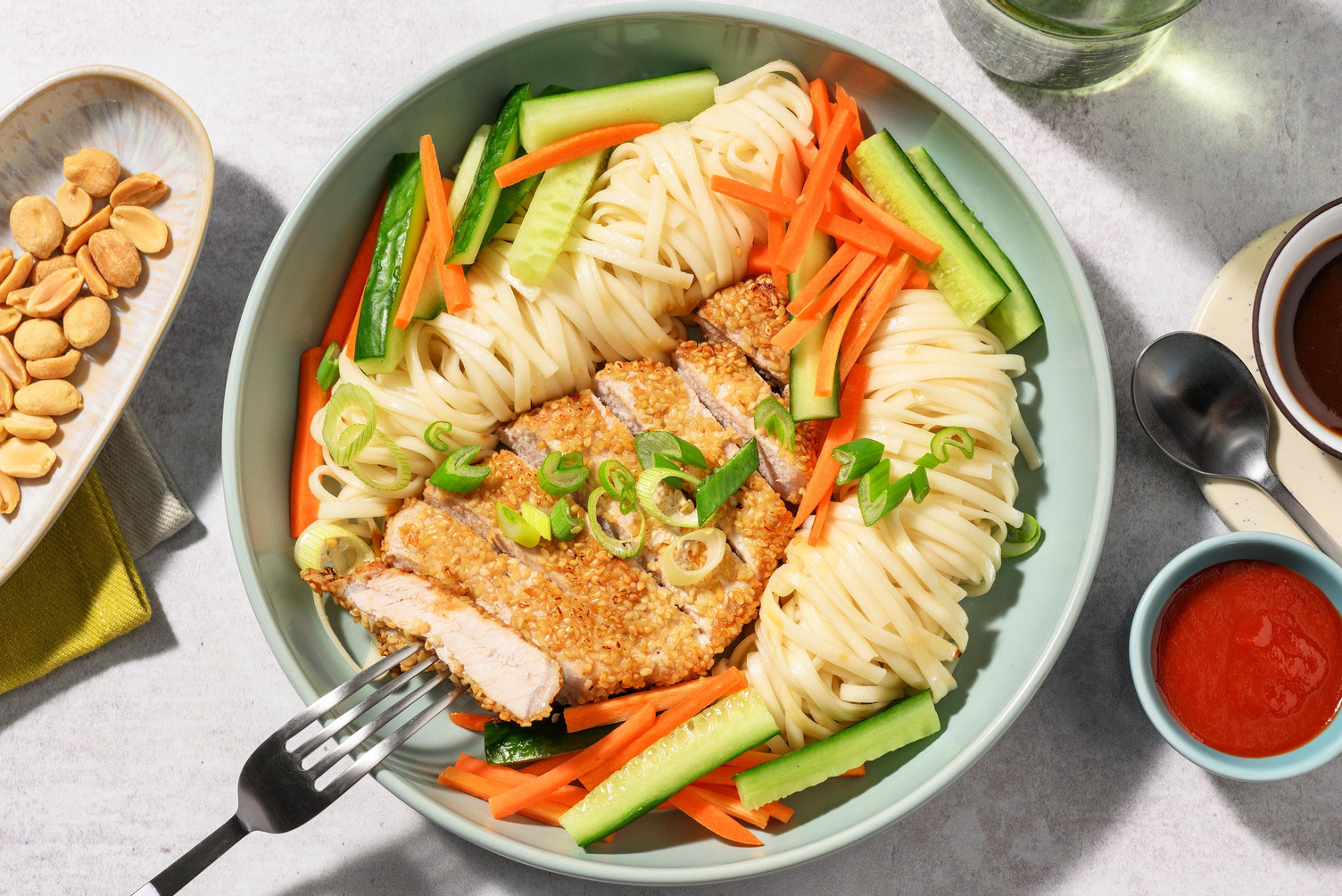 Sesam-svineschnitzel og udonnudler