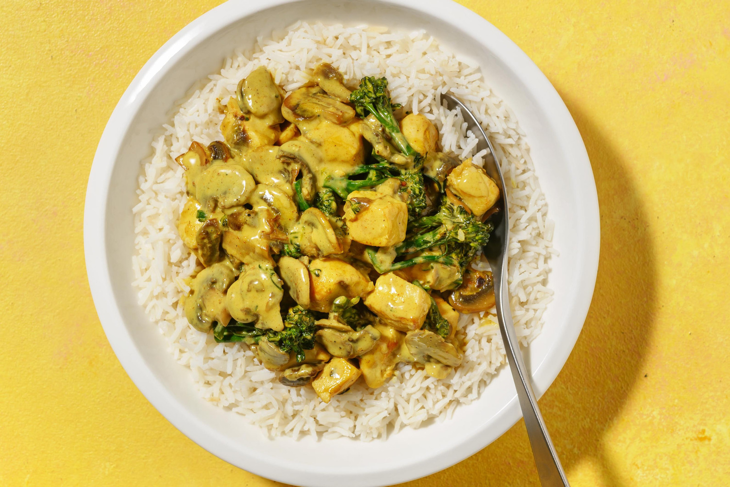 Pasanda Spiced Chicken Curry