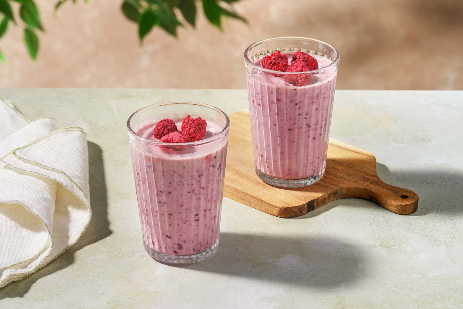 Very Berry Freeze Dried Raspberry Smoothie Kit