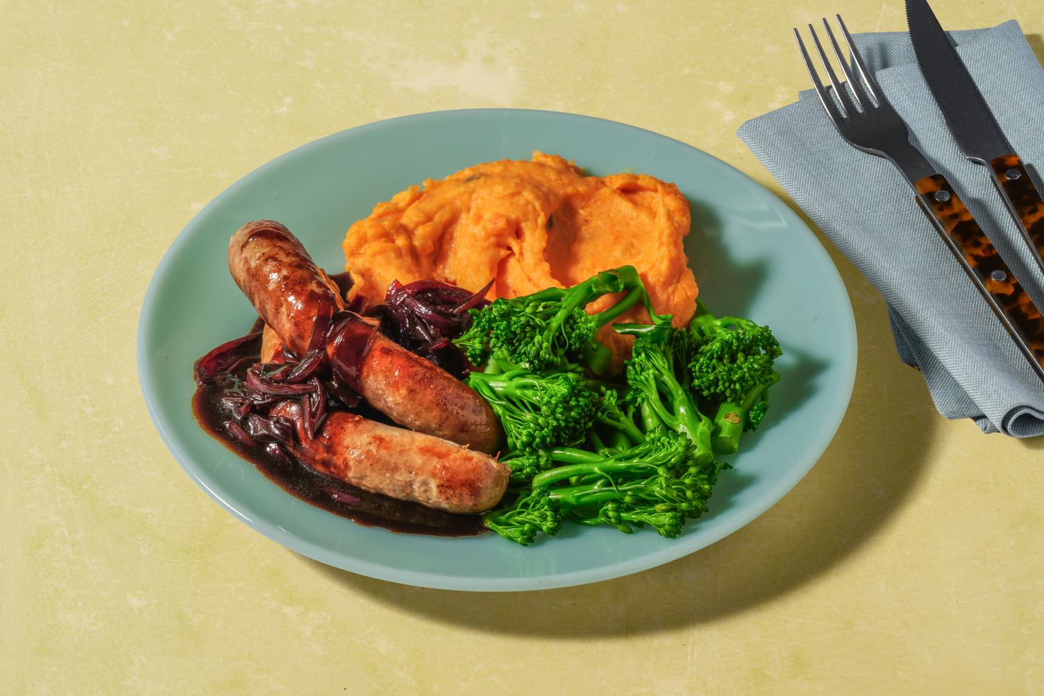 Chicken and Red Onion Gravy