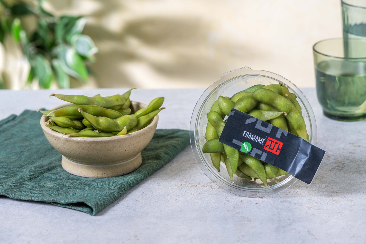 Modularity: Edamame