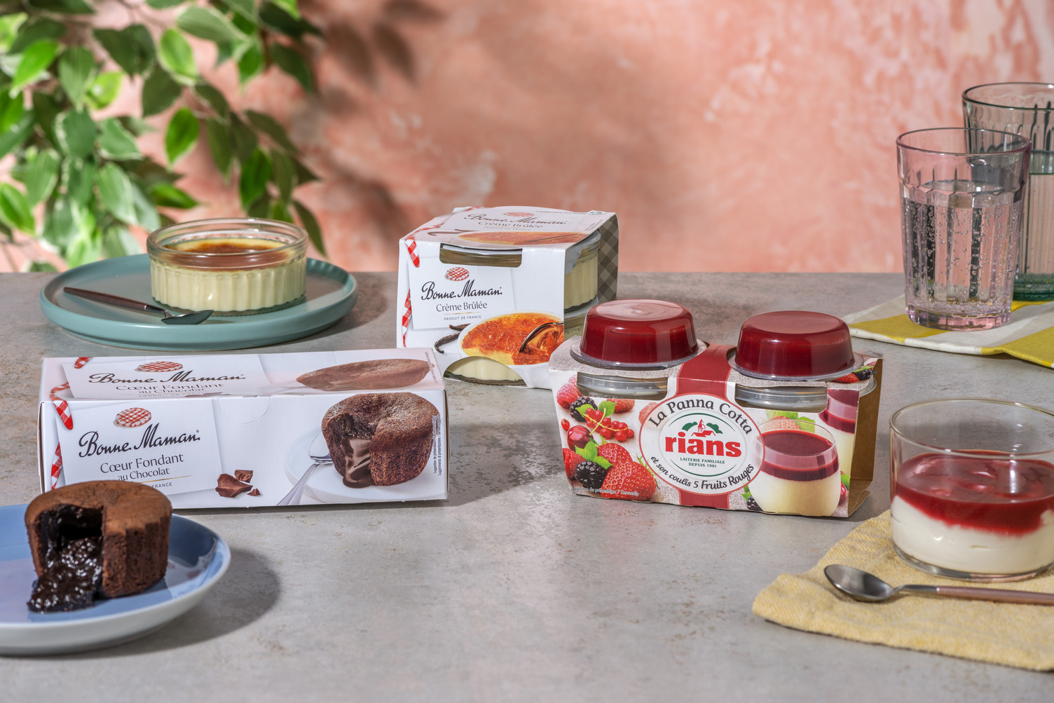Ensemble de desserts : Panna Cotta aux fruits rouges | Crème Brûlée | Fondants aux chocolat