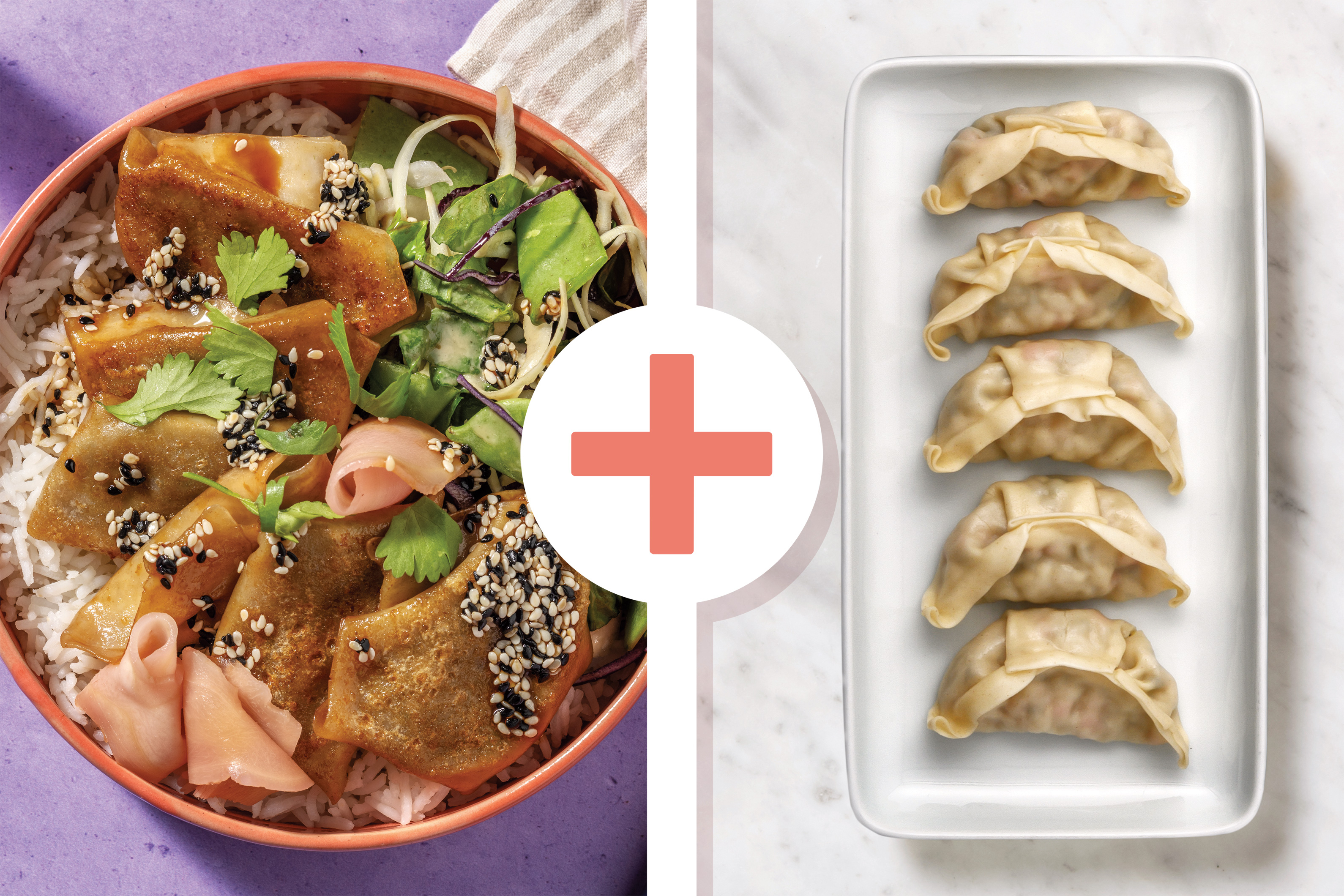 Double Prawn Wonton & Pea Pod Slaw Rice Bowl