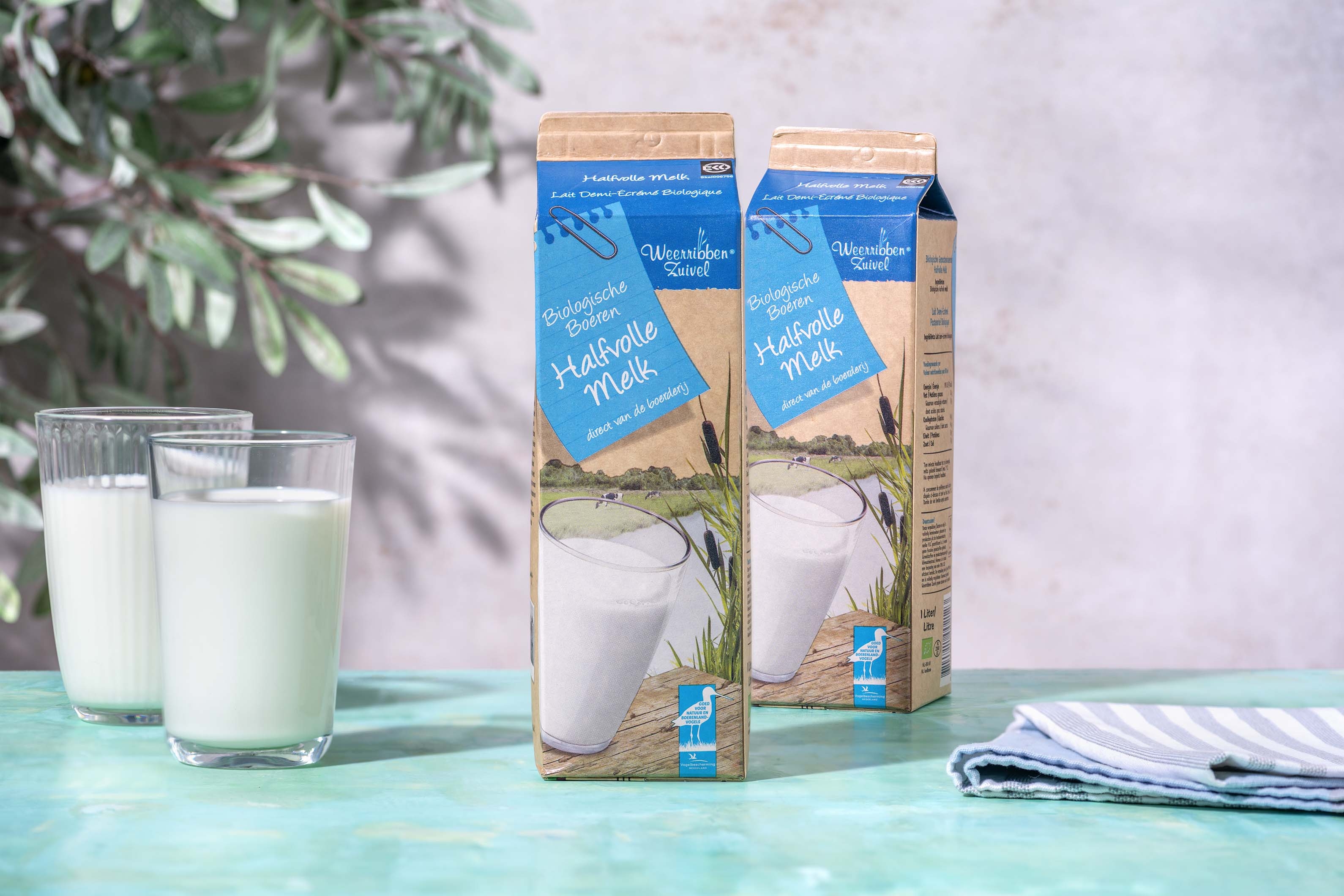 Lait demi-écrémé - 2 pièces