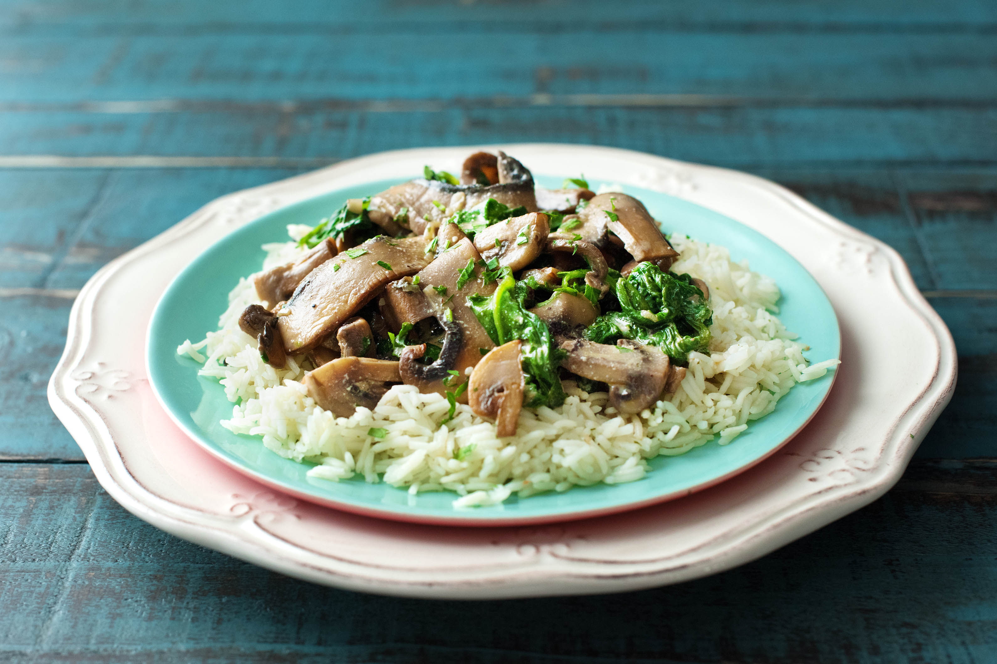 Mushroom and Spinach Stroganoff