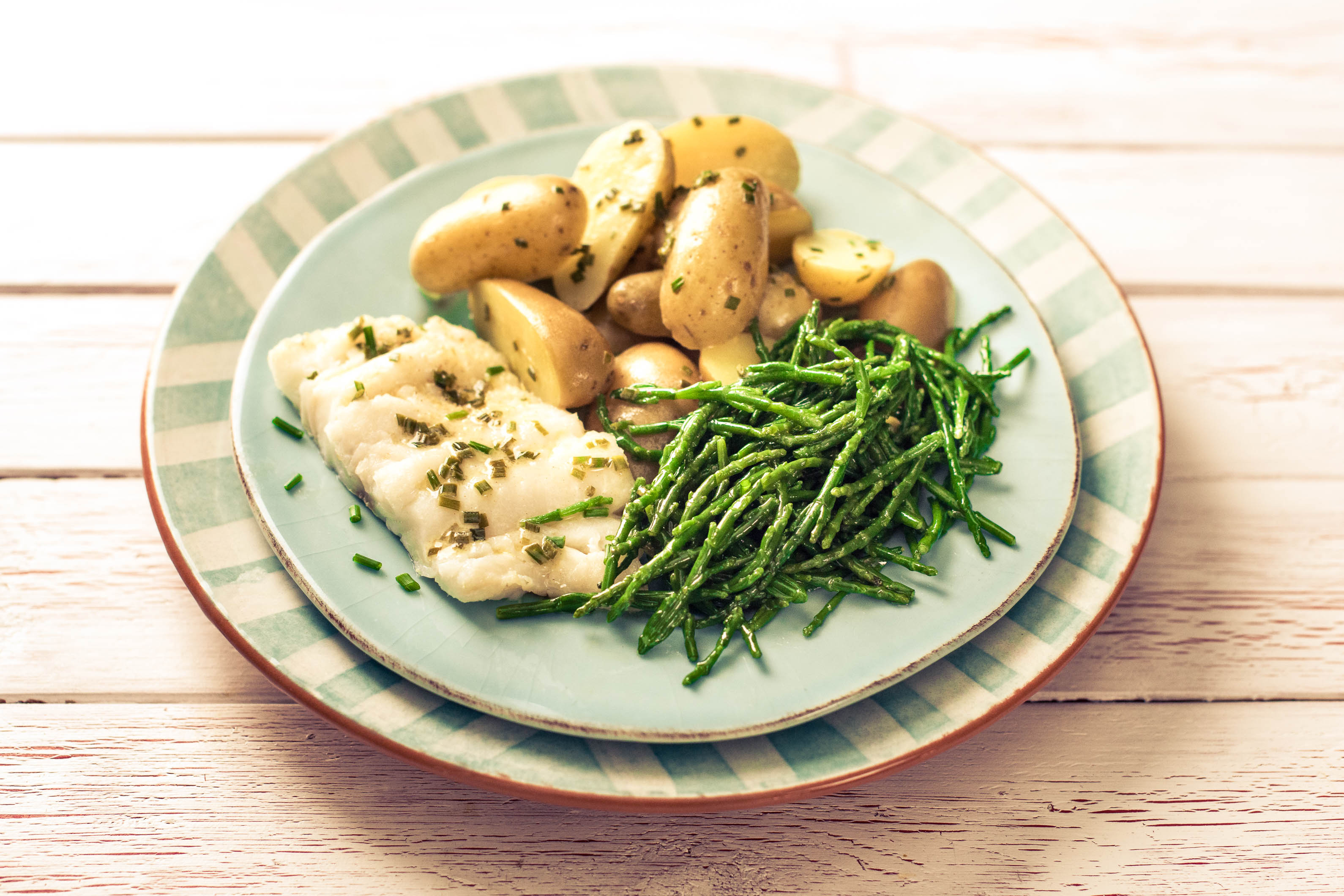 Tasteology Grilled Haddock and Samphire