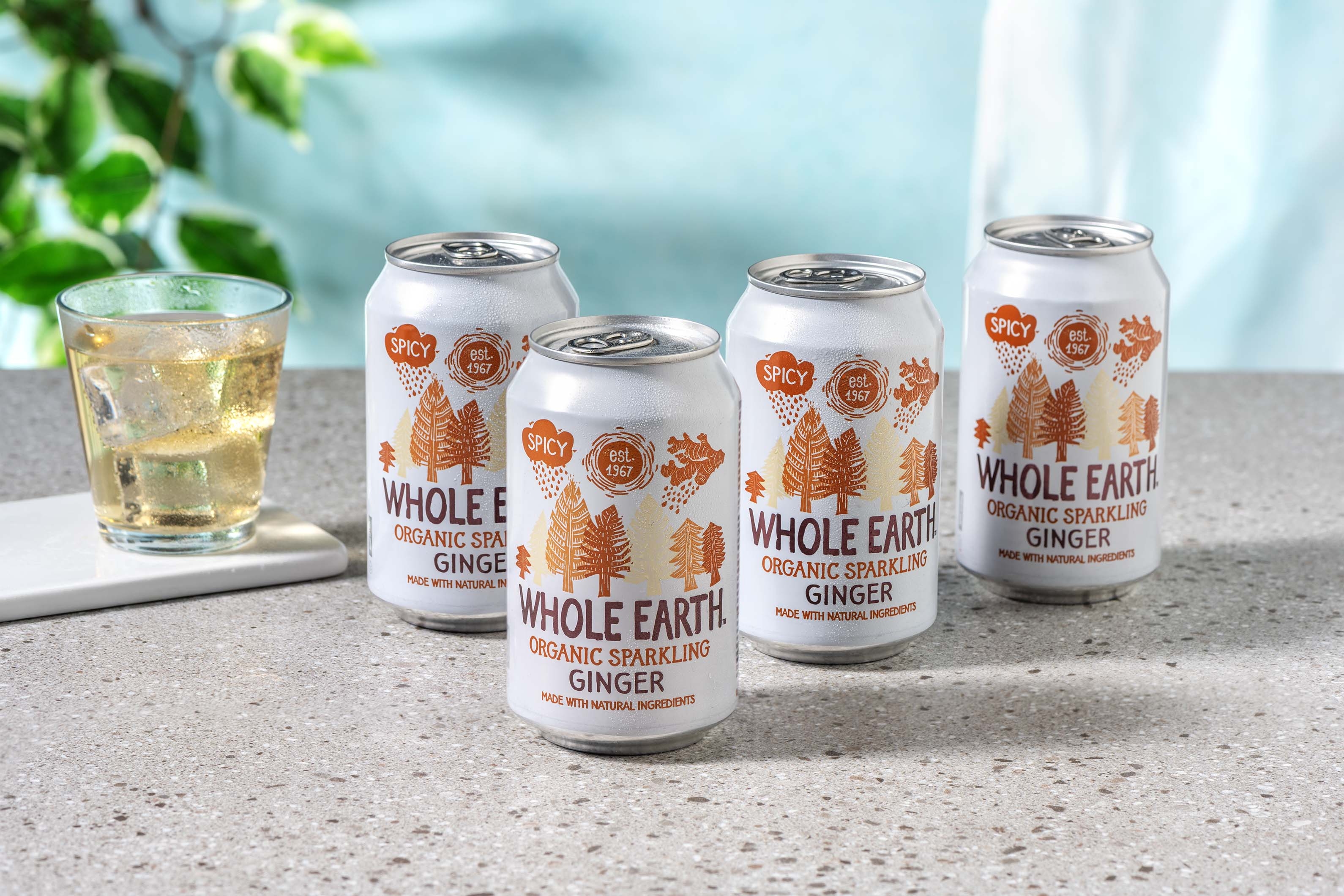 BIO Whole Earth Sparkling Ginger EN/FR/NL/SE/DK/NO (330ml)
