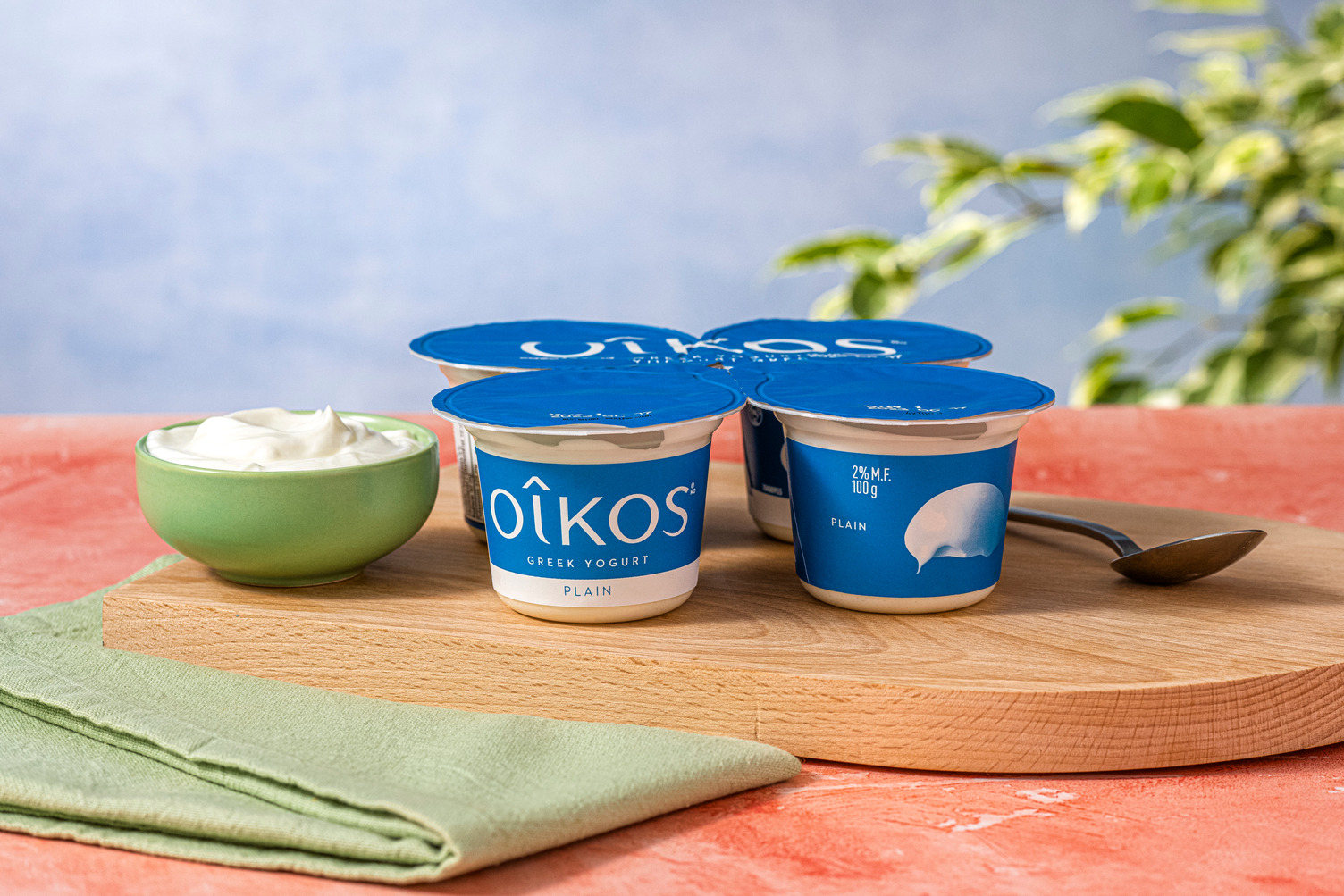 Oikos Plain 2% Greek Yogurt