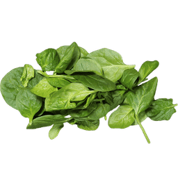 Brotes de espinacas