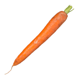 Zanahoria