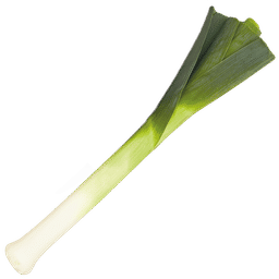 Puerro