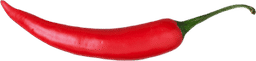 Chili Pepper
