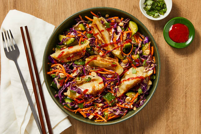 Sesame Chicken Gyoza & Red Cabbage Salad