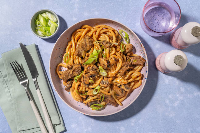 Beef Stroganoff Style Noodles