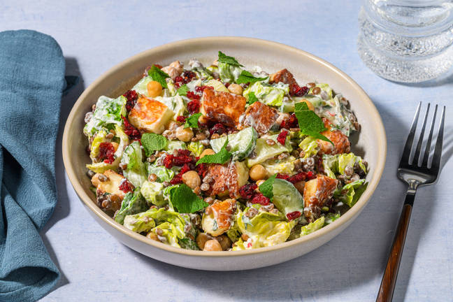 Warmer Linsensalat mit Grillkäse und Cranberries