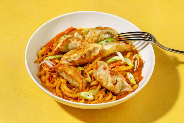 Stekt gyoza och currynudlar
