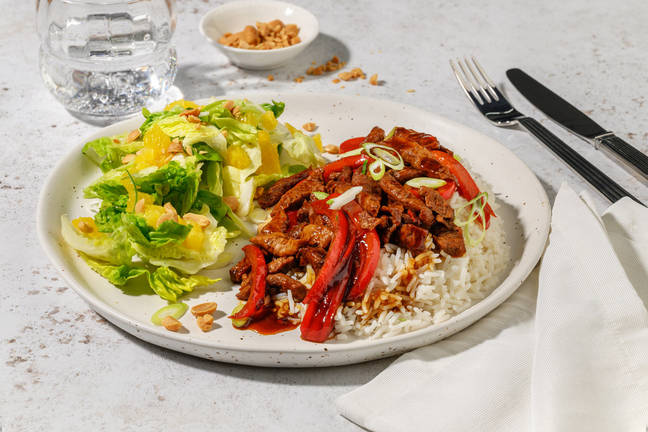 Teriyaki bowl met plantaardige runderstukjes