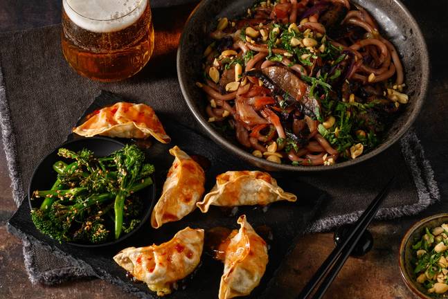 Hoisin Yaki Udon and Sweet Chilli Veggie Gyozas