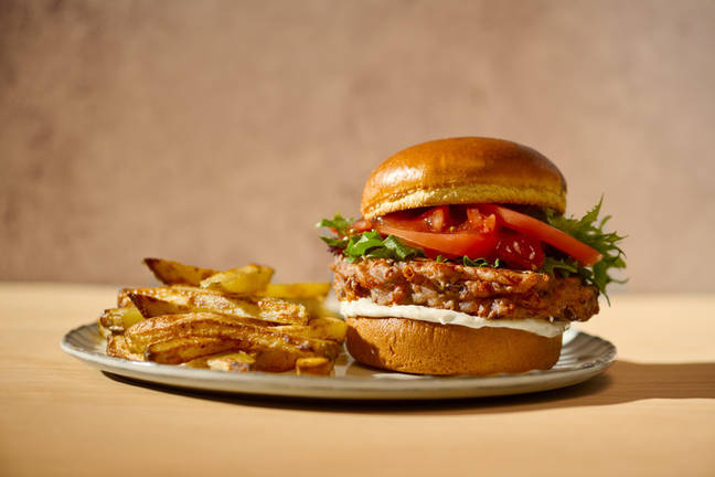 Kidney Bean & Cheddar Fritter Burger
