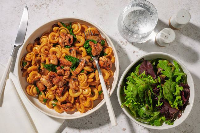 Spiced Chicken & Mushroom Fasta-Pasta