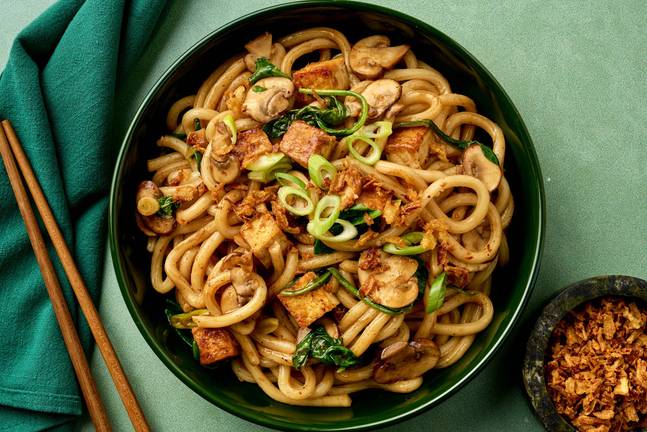 Braised Tofu and Ginger-Garlic Udon Noodles