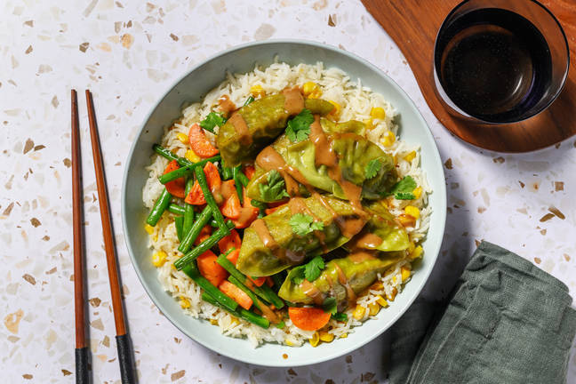 Veggie Gyoza & Katsu Curry Sauce