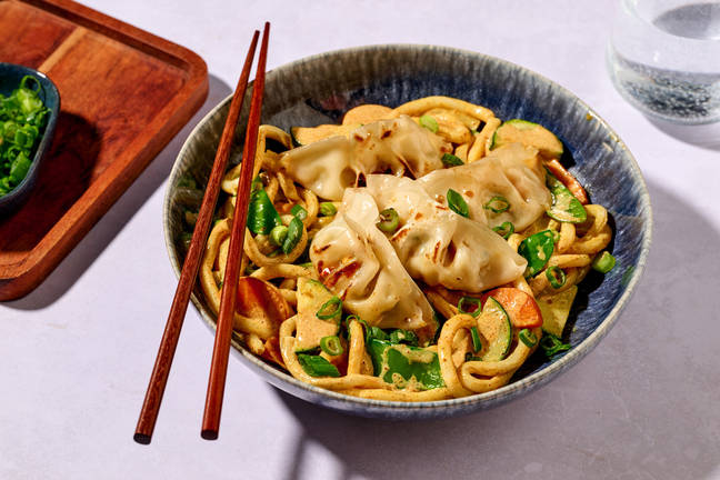 Chicken Dumplings & Curried Udon Noodles 