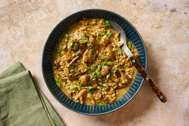 Miso Brown Butter Chicken & Veggie Risotto