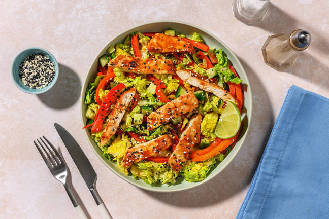 Chipotle Chicken & Zesty Capsicum Salad