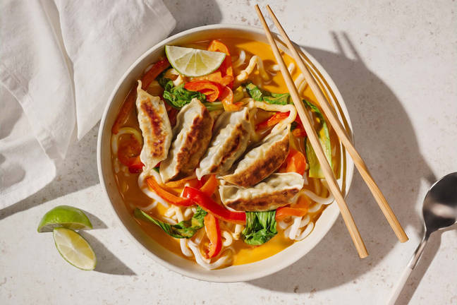 Veggie Gyoza Thai Style Udon Noodle Soup