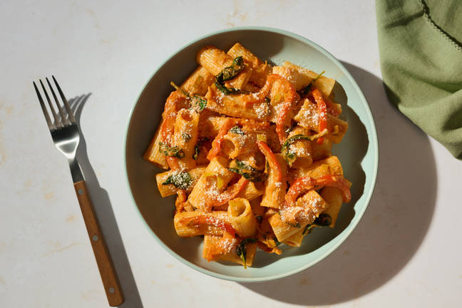 Creamy Sun-Dried Tomato, Spinach and Leek Penne
