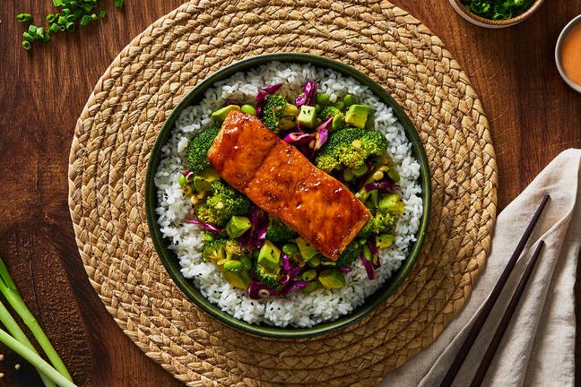 Bols donburi japonais au saumon