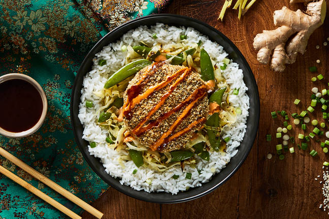 Japanese Menchi Katsu Beef Patties