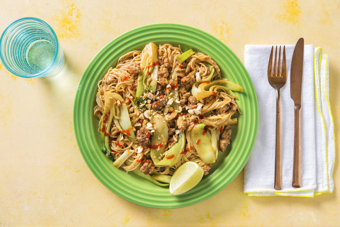 Japanische Udon-Nudeln mit Hackfleisch