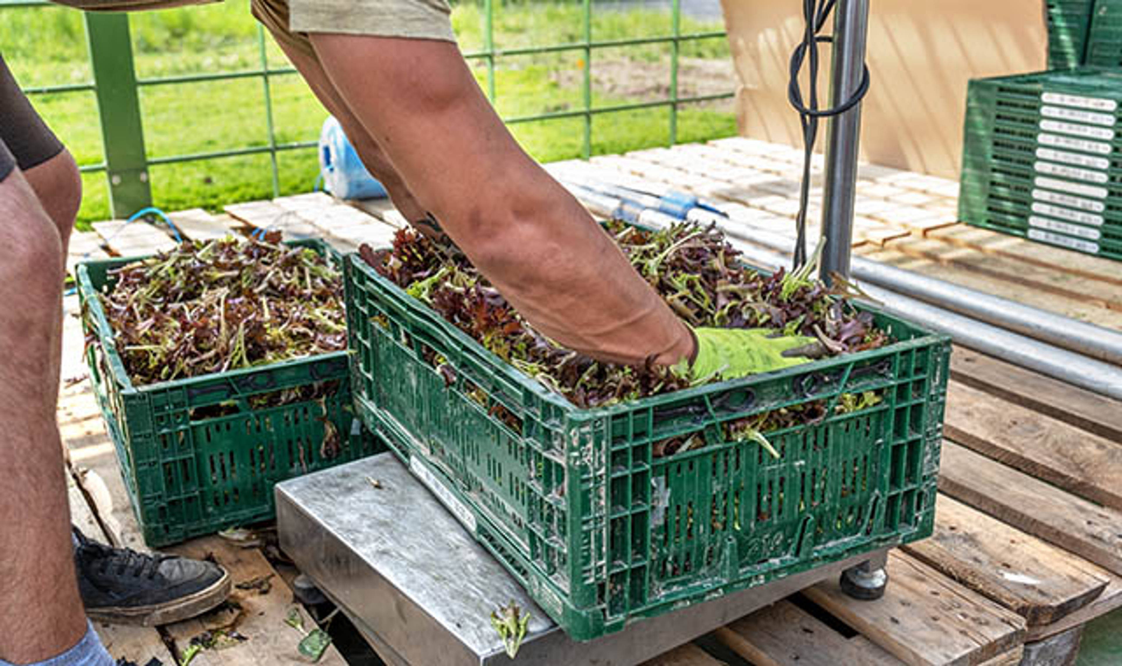 Genuss mit höchster Qualität
